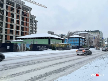 Зеленый — дом Храмцова, синий — дом Брызгалова | Источник: Анатолий Кузнецов / 72.RU