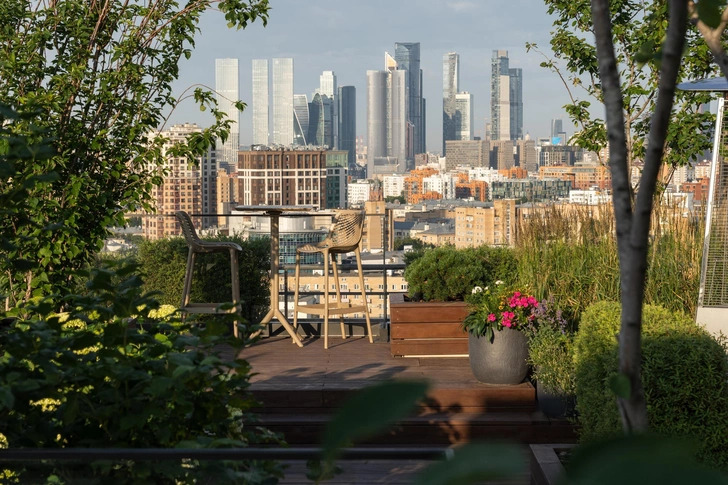 Источник: Брусника