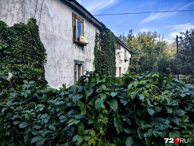 Как вам такой зеленый дом?  | Источник: Павел Красоткин / 72.RU 