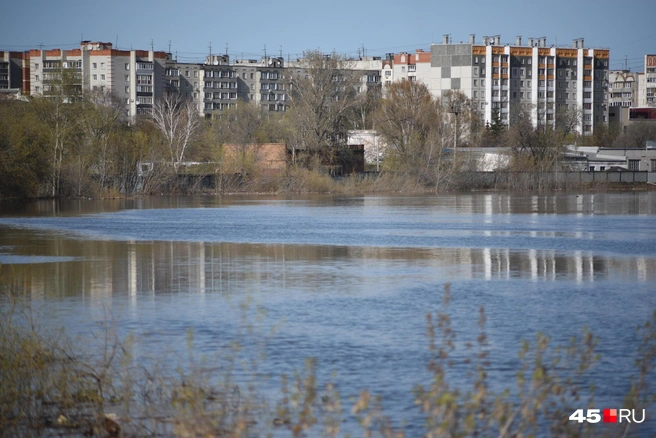 Под воду могут уйти дома садово-огороднических товариществ | Источник: Надежда Тихомирова / 45.RU