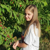 userpic__Лиса из пихтового леса