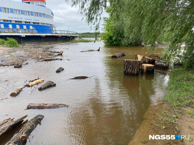 Территория была подтоплена и в прошлом году | Источник: Евгений Софийчук / NGS55.RU