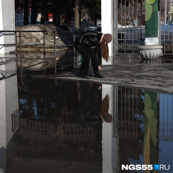Перед прогулкой в парке 30-летия ВЛКСМ стоит заправить длинные штаны в ботинки | Источник: Евгений Софийчук / NGS55.RU