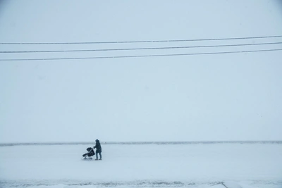 Психические расстройства в Архангельской области: статистика по полу