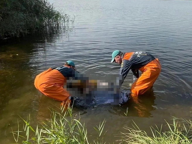 Тело женщины достали из водоема под Нижним | Источник: МЧС по Нижегородской области