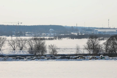 В Звенигороде названа версия исчезновения детей у Москвы-реки