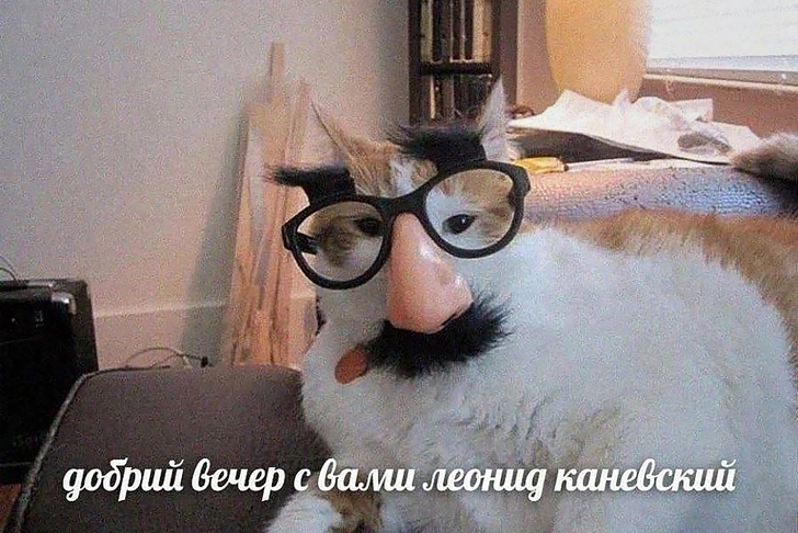 Источник: Соцсети
