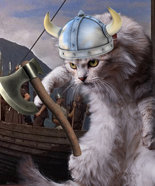 Оказывается, у викингов были боевые коты. Поражающее открытие ученых