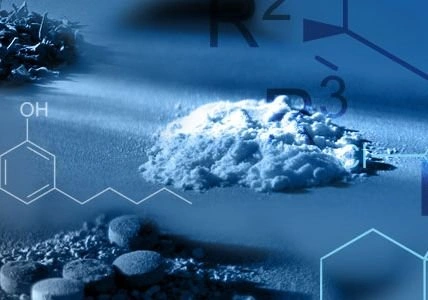 Гражданские супруги осуждены за организацию наркопритона | ya62.ru