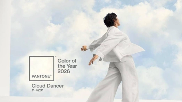 Pantone назвал цвет 2026 года, и в Интернете уже полно мемов о нем