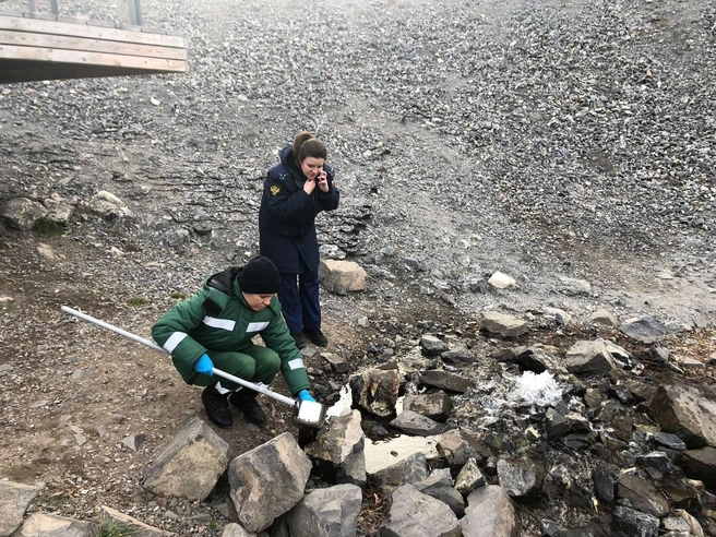 Воду из протоки забрали в лабораторию на анализы | Источник: прокуратура Красноярского края