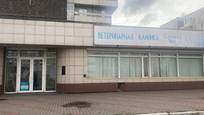 В клинику «Центровет» красноярка пришла с двумя полицейскими | Источник: Юлия Жемер