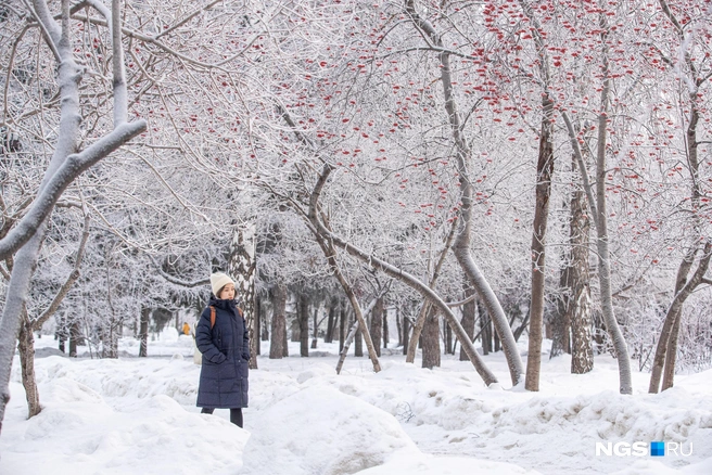 Если в январе ударят морозы, то лето будет жарким | Источник: Александр Ощепков / NGS.RU