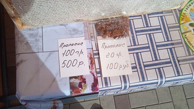 Источник: Юрий Скородумов / 29.RU