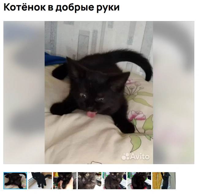 Не успел улыбнуться | Источник: Аvito.ru