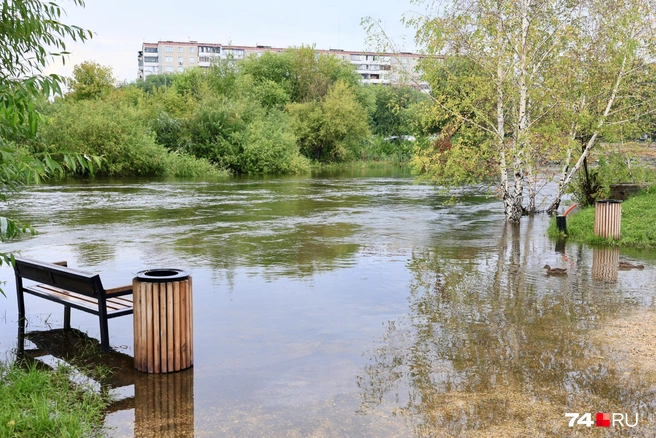 Из-за ливней на Шершнях не спешат уменьшать сброс воды, и река Миасс продолжает разливаться  | Источник: Михаил Шилкин 