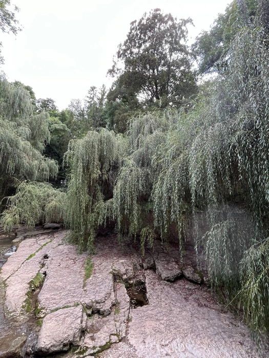 В парке растет более 250 видов деревьев | Источник: герой публикации