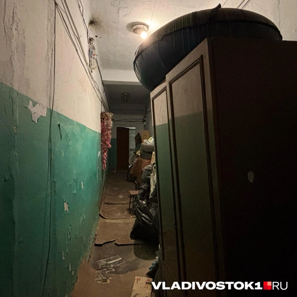 Источник: Елена Буйвол / VLADIVOSTOK1.RU