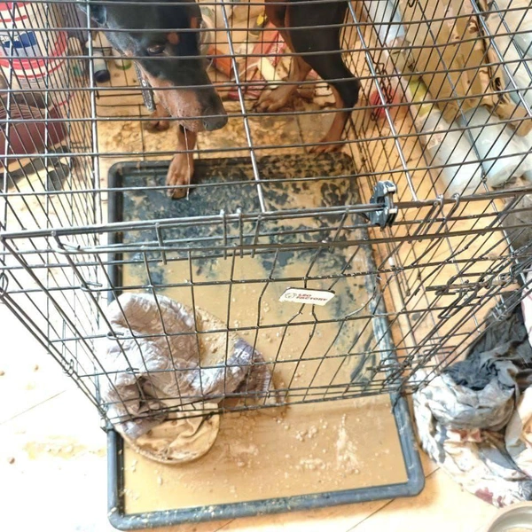 Источник: MONA / Telegram