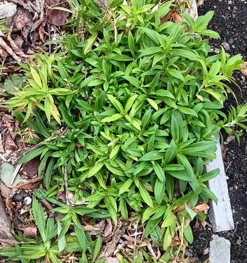 Источник: читатель MGORSK.RU