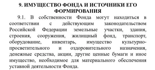 Один из пунктов устава благотворительного фонда  | Источник: читатель 74.RU