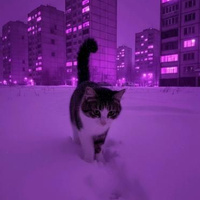 Аватарка Ника Мак
