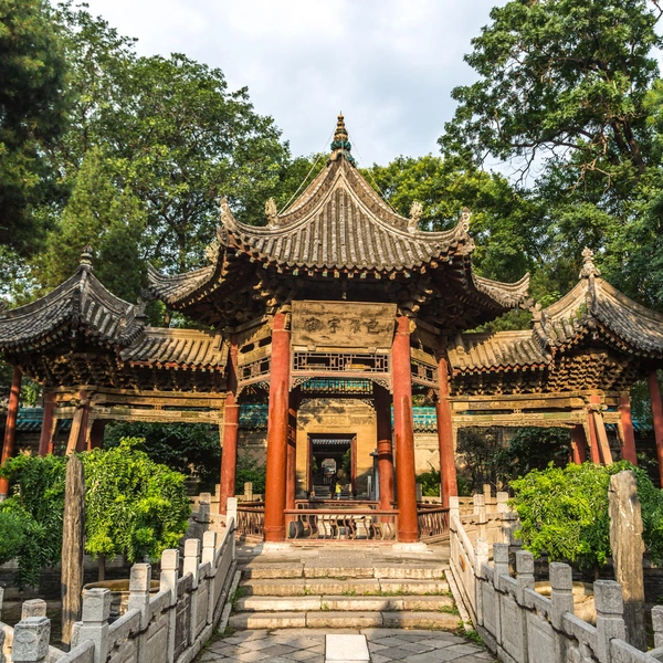 Источник: LMspencer/Shutterstock/Fotodom.ru