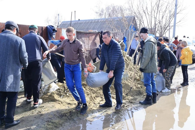 Добровольцы помогают жителям вместе с членом национального Курултая Сериком Бектургановым | Источник: акимат Костанайской области Казахстана