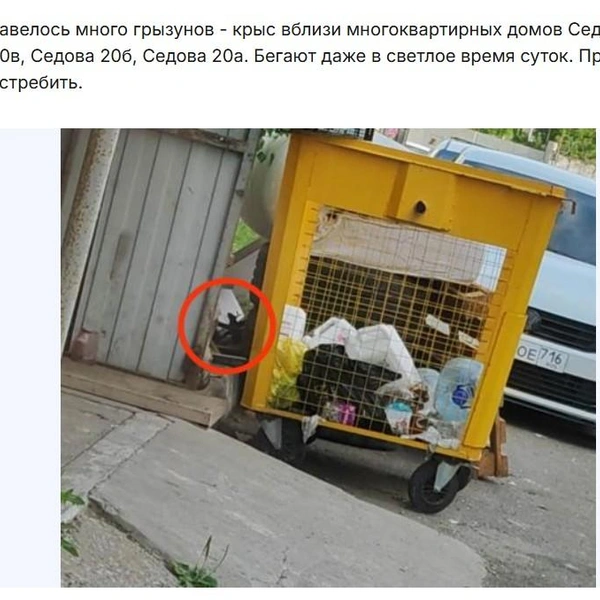 Источник: uslugi.tatarstan.ru