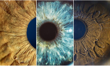 Чудеса макросъемки: фото, доказывающие, что глаза — зеркало души
