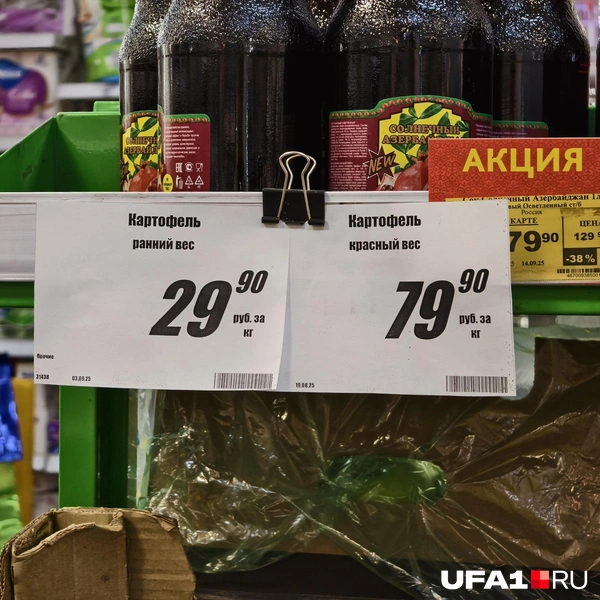 Источник: Булат Салихов / UFA1.RU