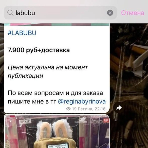 Источник: Регина Быринова / T.me