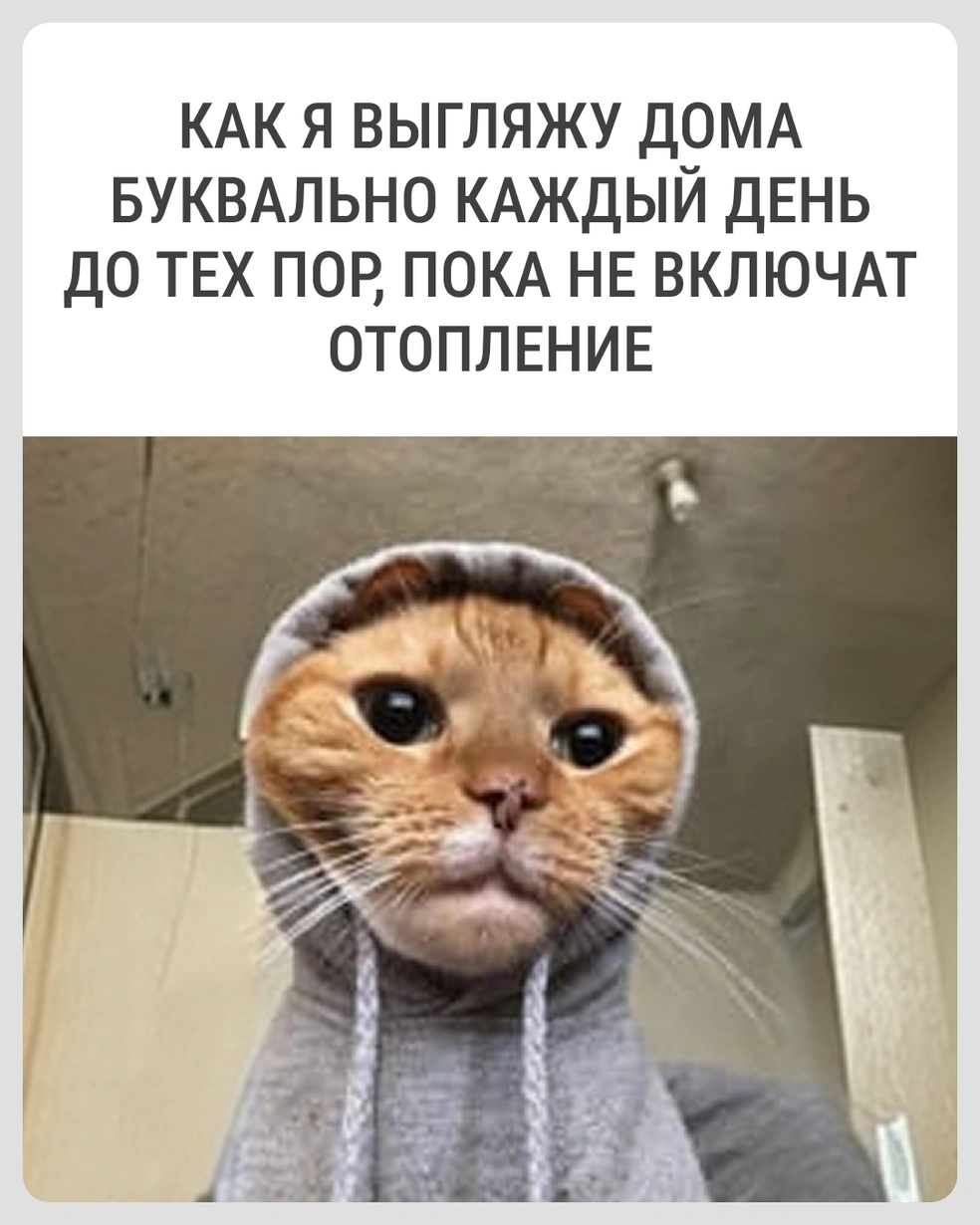 И шерстяные носки! | Источник: Городские медиа
