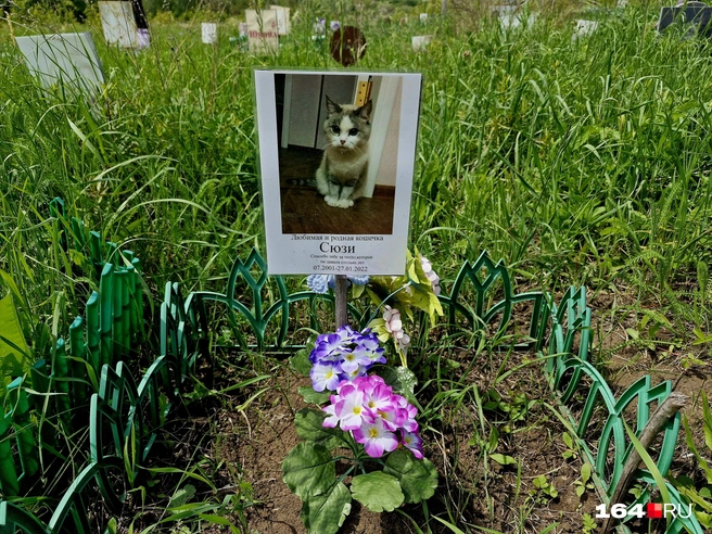 Сюзи прожила больше 20 лет. Как тяжело было с ней расставаться | Источник: Виктория Федорова / 164.RU