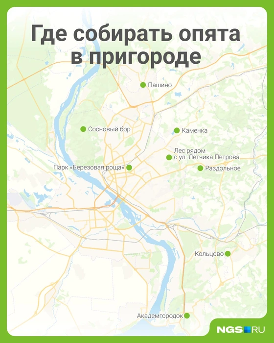 Источник: Юрий Орлов / Городские медиа