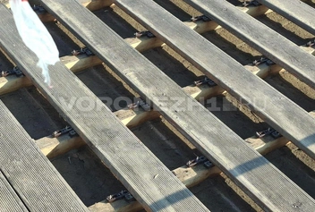 Источник: Алена Воропаева / Voronezh1.ru