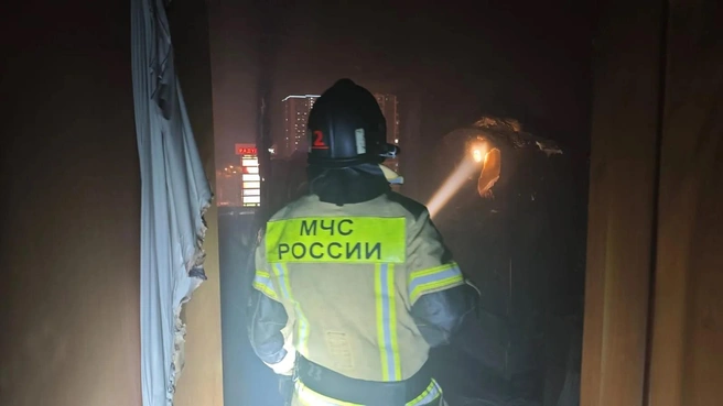 Источник: ТА «Ночные новости»