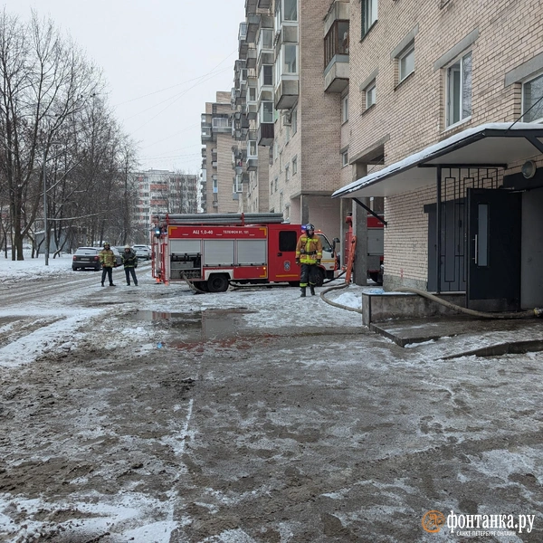 Источник: читательница «Фонтанки» Елена