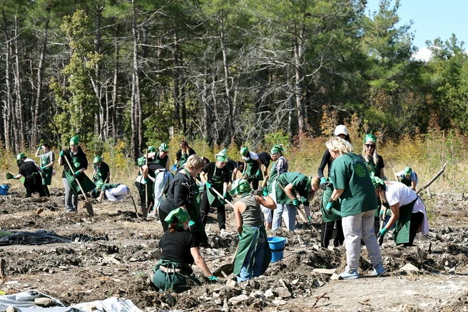 Такие инициативы по восстановлению природных богатств Геленджика и окрестностей планируют сделать ежегодными | Источник: пресс-служба компании «Магнит»