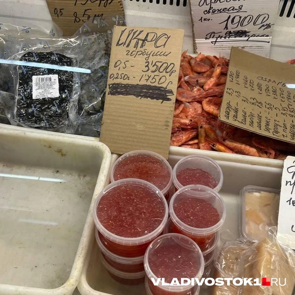 Источник: Елена Буйвол / VLADIVOSTOK1.RU