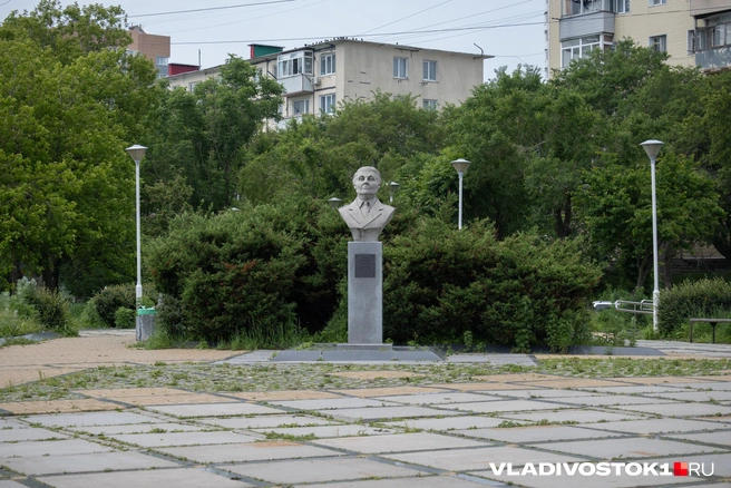 Источник: Елена Буйвол / VLADIVOSTOK1.RU