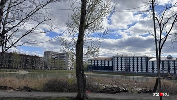 Раньше были высокие деревья между дорожками и озером, сейчас там пустошь | Источник: 72.RU