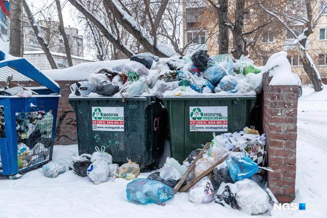 В последние несколько лет ситуация с мусором в Новосибирске иногда обостряется коллапсами | Источник: Александр Ощепков / NGS.ru