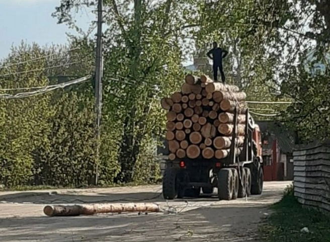 В Кадоме лесовоз оставил без света несколько магазинов | ya62.ru