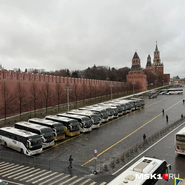 На Кремлевскую ёлку съезжаются десятки автобусов | Источник: Артем Устюжанин / MSK1.RU
