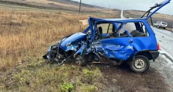 Источник: УМВД России по Оренбургской области