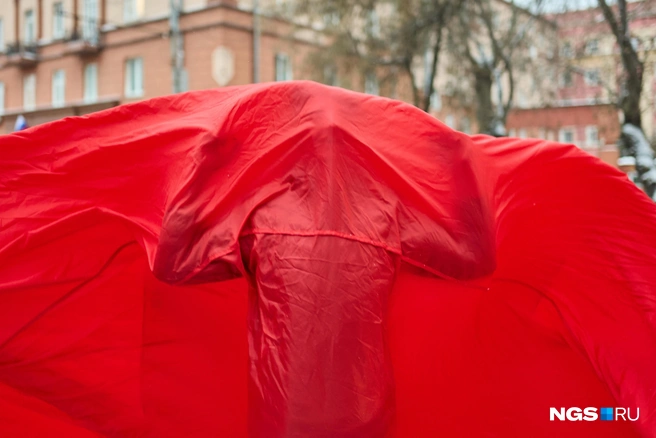 Источник: Александр Ощепков / NGS.RU