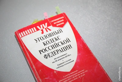 В Череповце обокрали коттедж главы «Северстали»