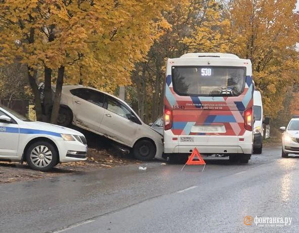 Источник: читательница «Фонтанки» Алёна
