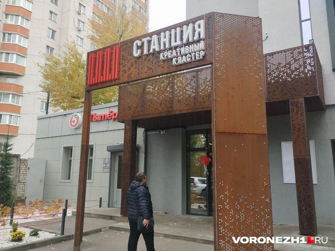 Источник: Дмитрий Волгин / Voronezh1.ru
